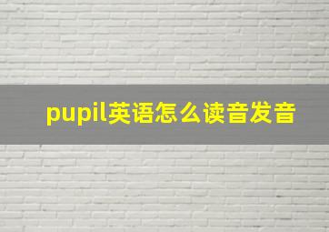 pupil英语怎么读音发音