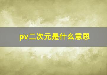 pv二次元是什么意思