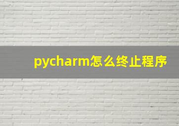 pycharm怎么终止程序