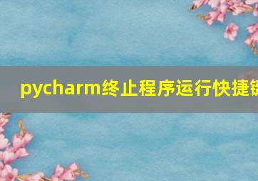 pycharm终止程序运行快捷键