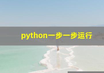 python一步一步运行