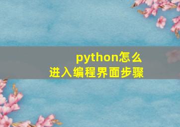 python怎么进入编程界面步骤