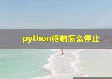 python终端怎么停止