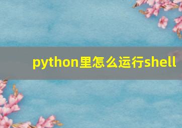 python里怎么运行shell