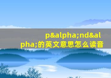 pαndα的英文意思怎么读音