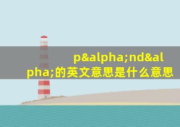 pαndα的英文意思是什么意思