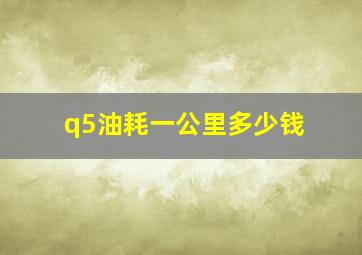 q5油耗一公里多少钱