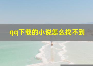 qq下载的小说怎么找不到