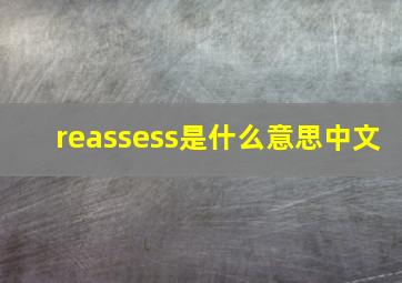 reassess是什么意思中文