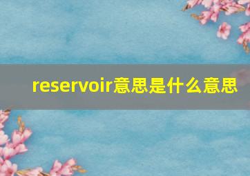 reservoir意思是什么意思