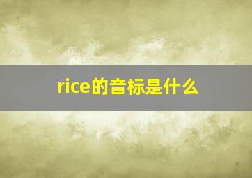 rice的音标是什么