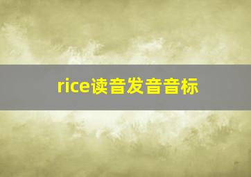 rice读音发音音标