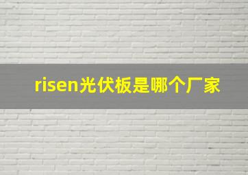 risen光伏板是哪个厂家