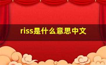 riss是什么意思中文