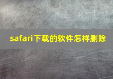 safari下载的软件怎样删除