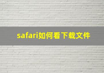 safari如何看下载文件