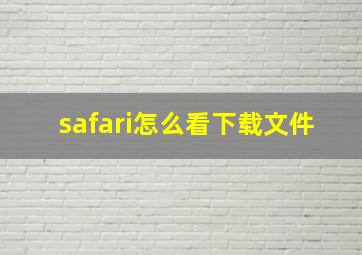 safari怎么看下载文件