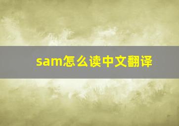 sam怎么读中文翻译