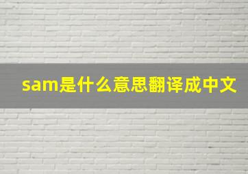 sam是什么意思翻译成中文