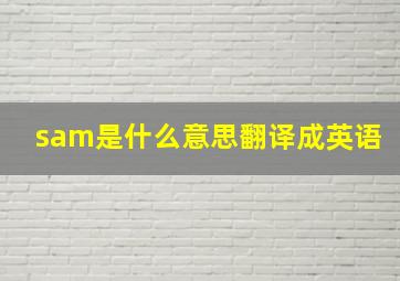 sam是什么意思翻译成英语