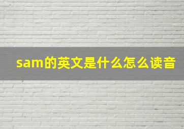 sam的英文是什么怎么读音