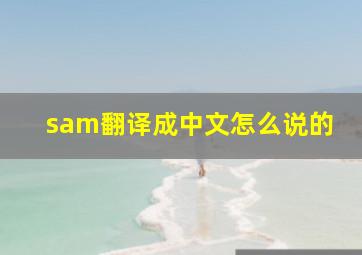 sam翻译成中文怎么说的