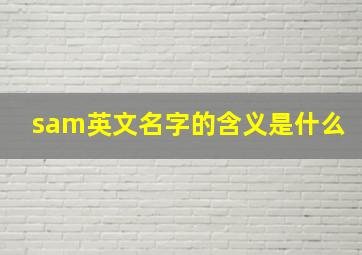 sam英文名字的含义是什么