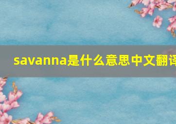 savanna是什么意思中文翻译