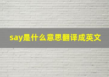 say是什么意思翻译成英文