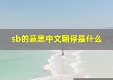 sb的意思中文翻译是什么