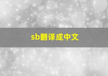 sb翻译成中文