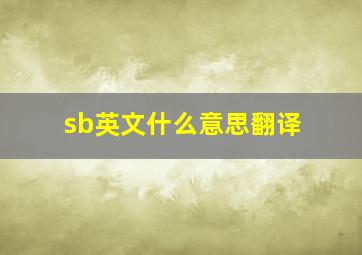 sb英文什么意思翻译