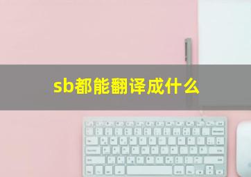 sb都能翻译成什么