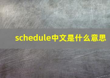 schedule中文是什么意思