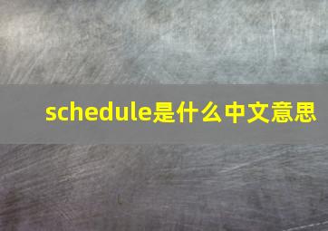 schedule是什么中文意思