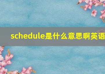 schedule是什么意思啊英语