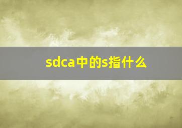 sdca中的s指什么