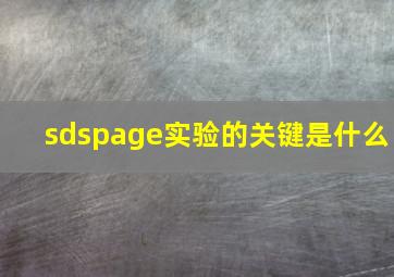 sdspage实验的关键是什么