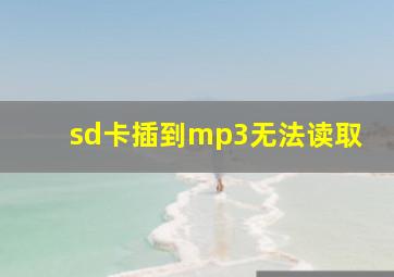 sd卡插到mp3无法读取