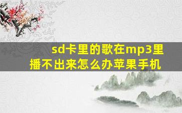 sd卡里的歌在mp3里播不出来怎么办苹果手机