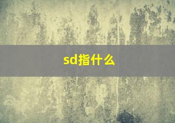 sd指什么