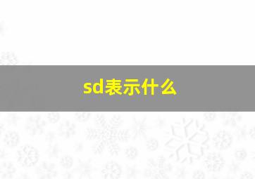 sd表示什么