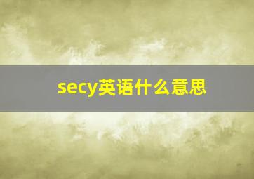 secy英语什么意思