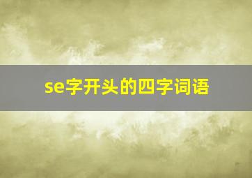 se字开头的四字词语