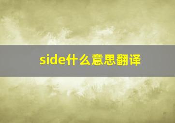 side什么意思翻译