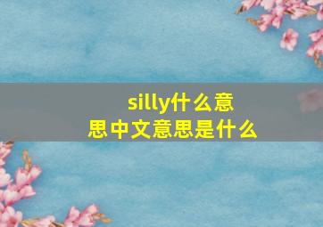 silly什么意思中文意思是什么