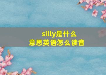 silly是什么意思英语怎么读音