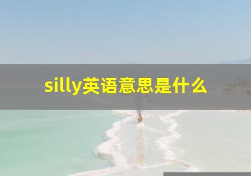 silly英语意思是什么