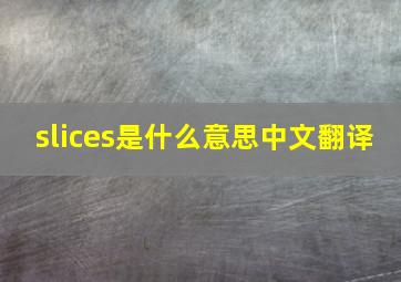 slices是什么意思中文翻译