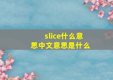 slice什么意思中文意思是什么